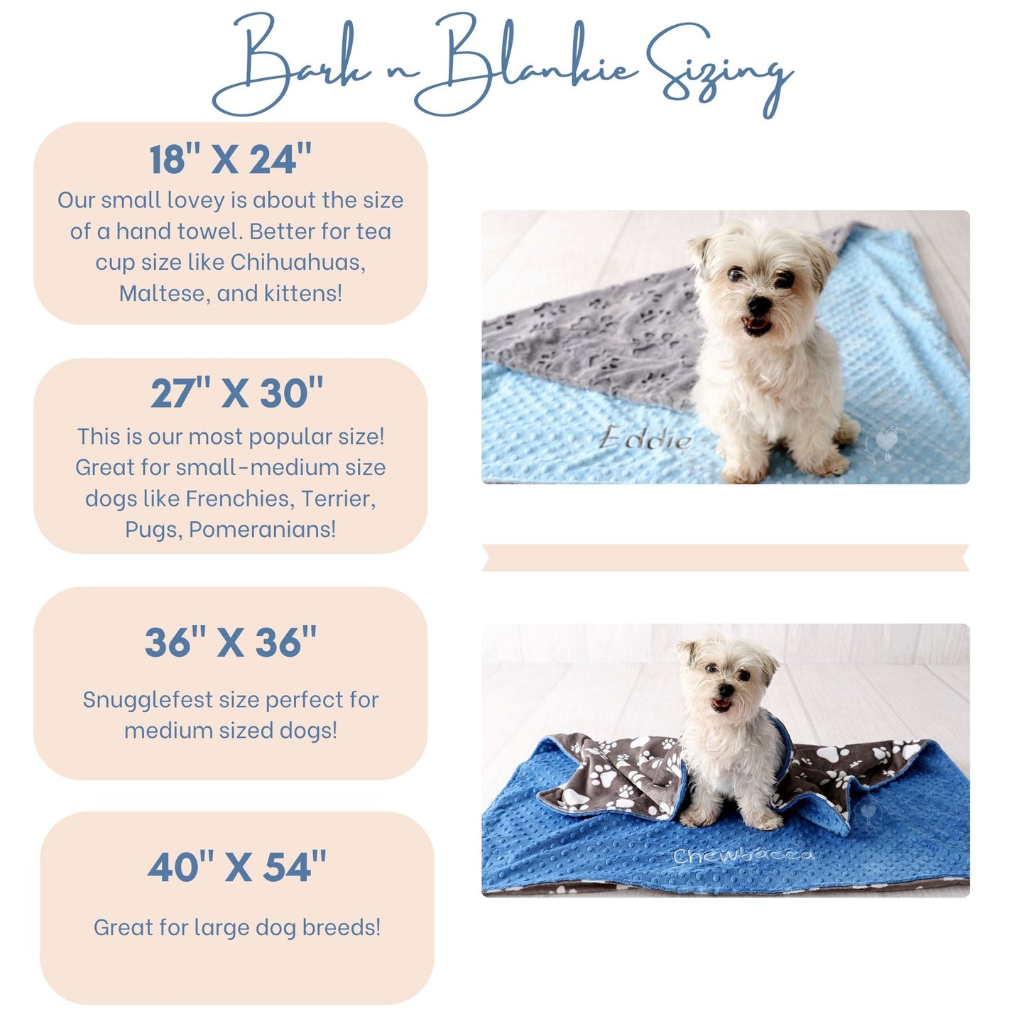 Gray Embossed Paw Minky Pet Blanket - Personalized