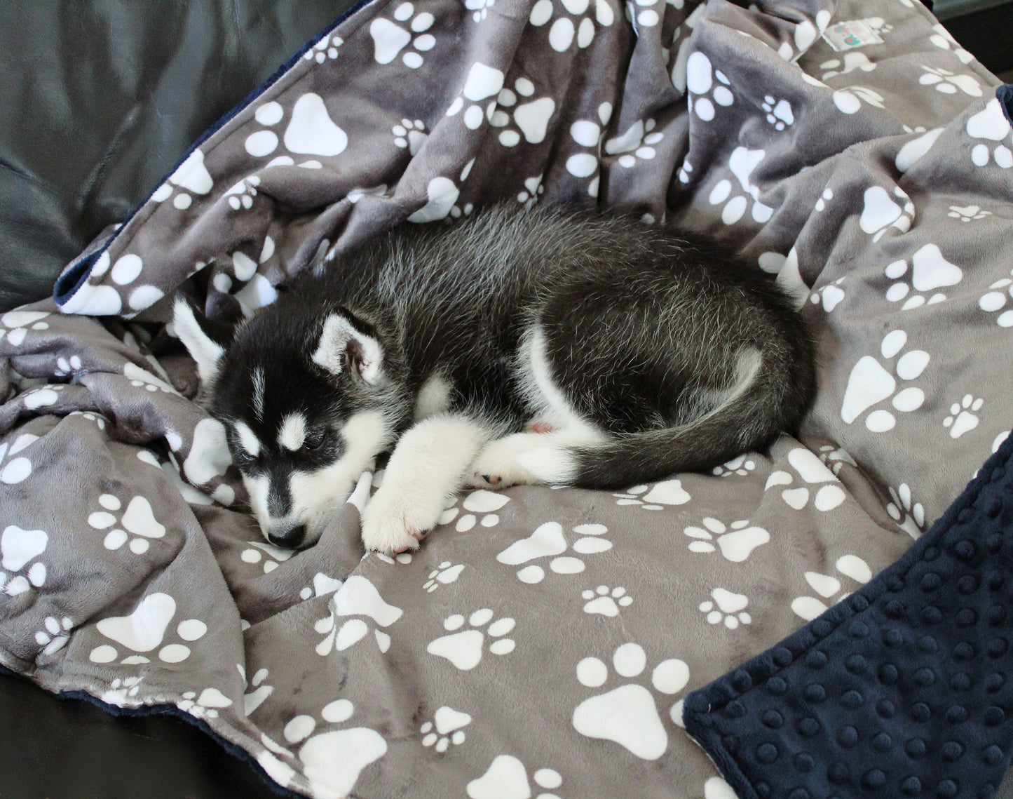 Pet Blanket, Gray Paw Print Personalized Minky Blanket
