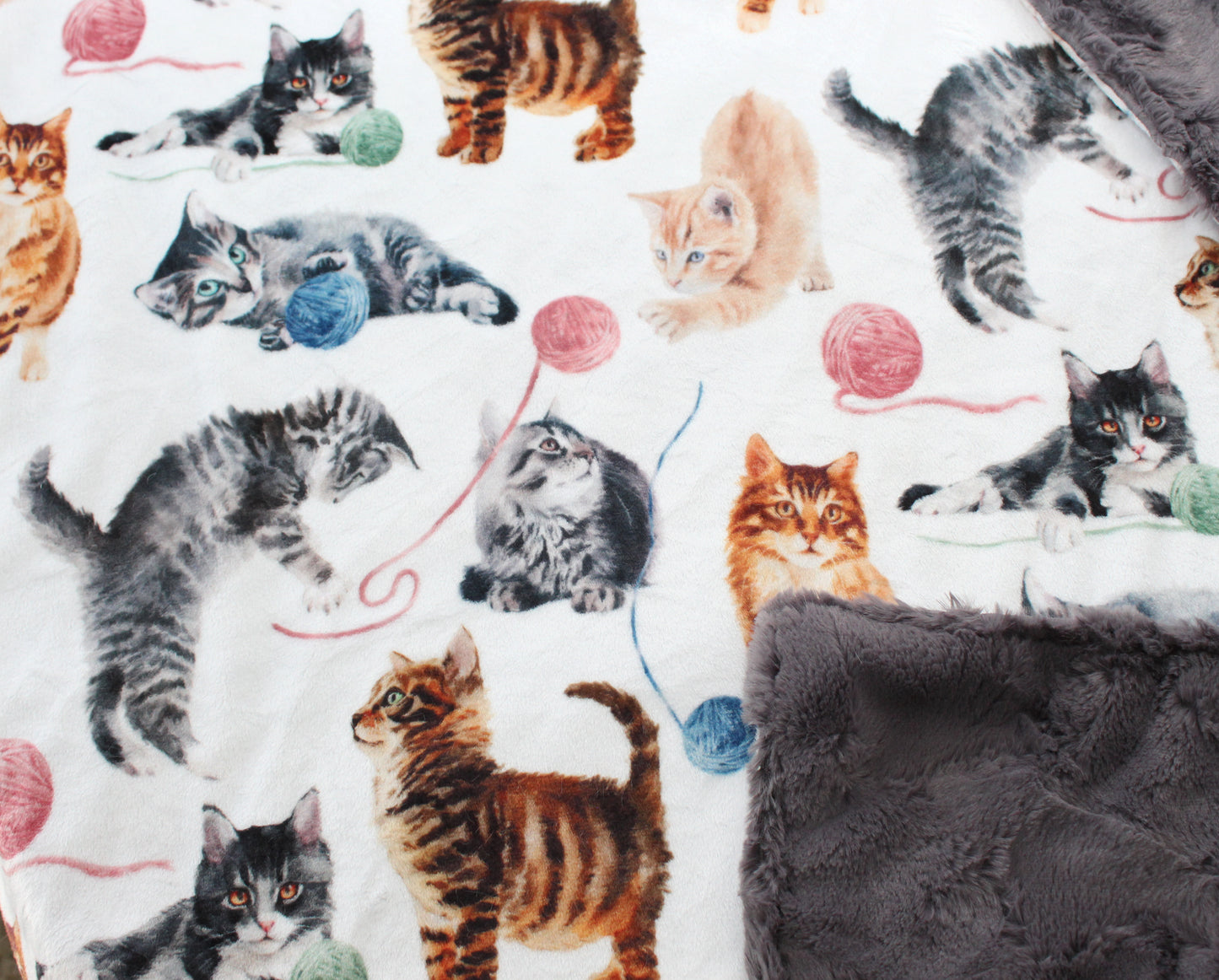 Personalized Baby Blanket, Kitten Minky Baby Blanket