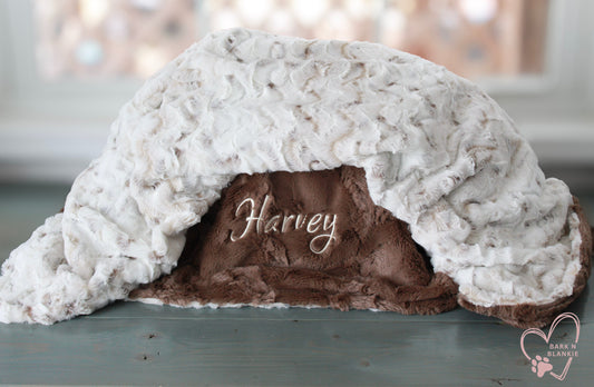 Snowy Owl Minky Dog Blanket