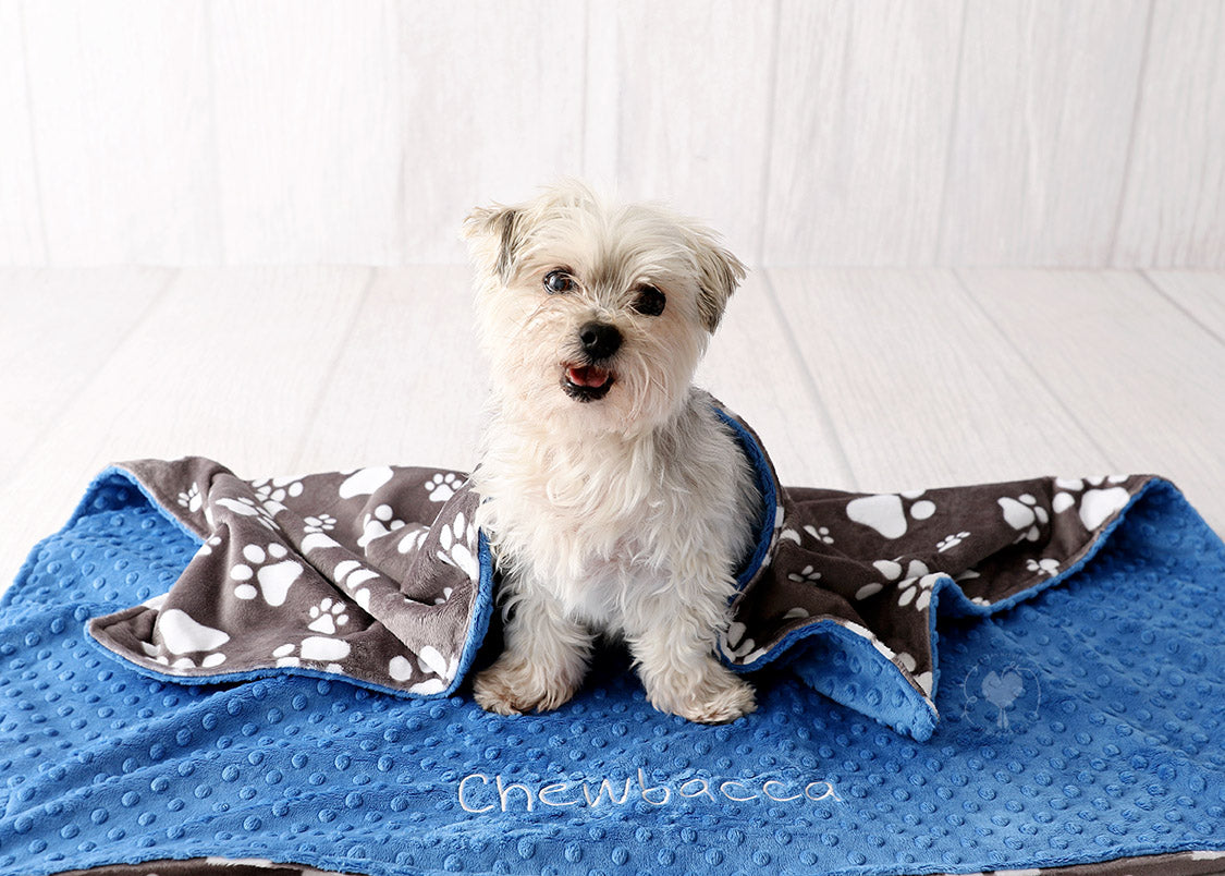 Gray Paw Print Personalized Minky Pet Blanket
