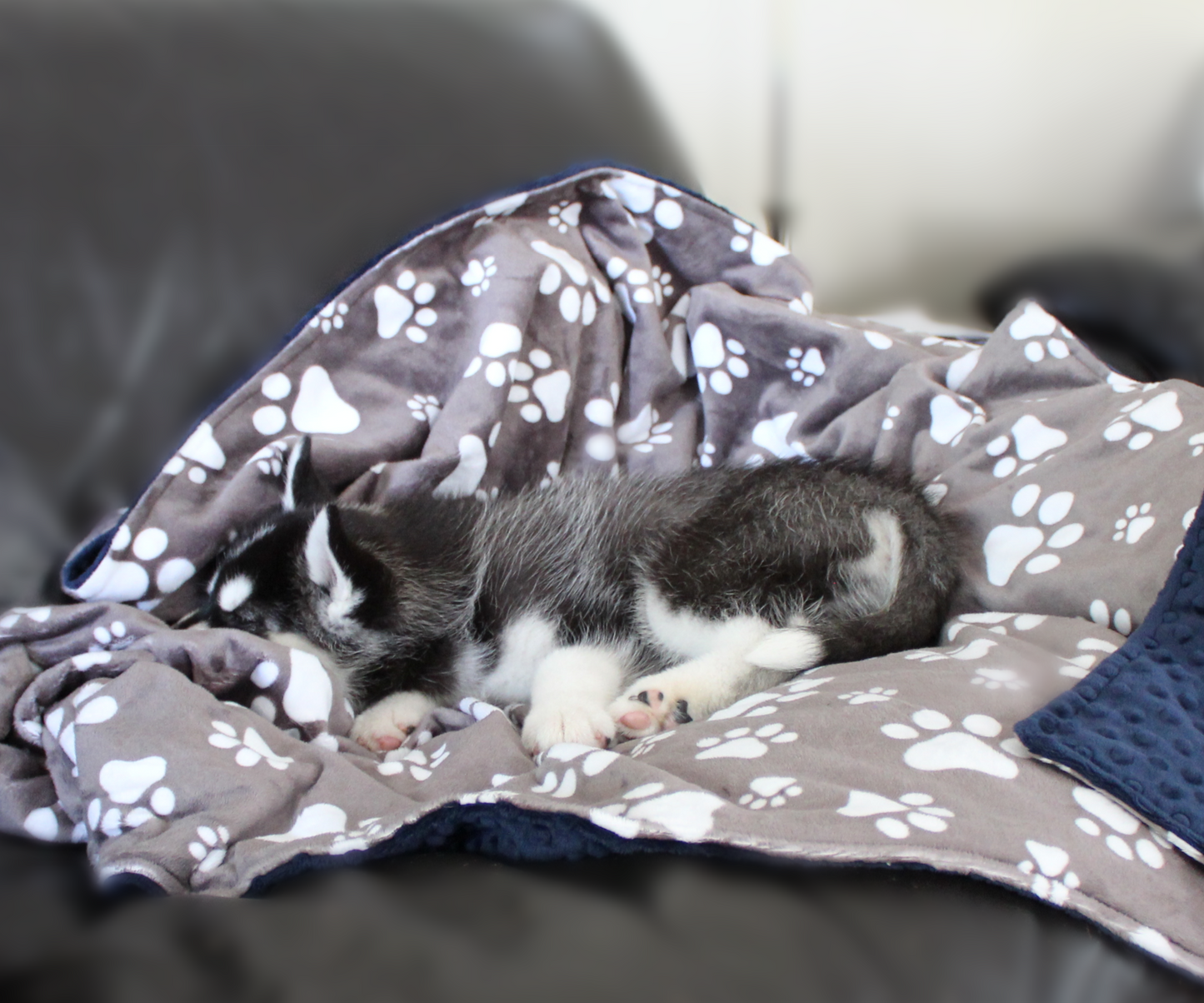 Pet Blanket, Gray Paw Print Personalized Minky Blanket