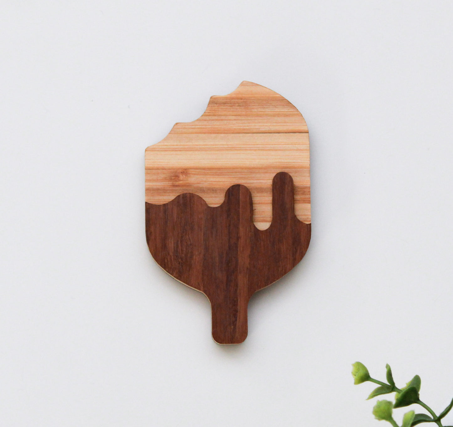 Bamboo Bottle Openers